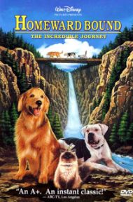 Homeward Bound The Incredible Journey (1993) 2 หมา 1 แมว ใครจะพรากเราไม่ได้ ดูหนังออนไลน์ HD