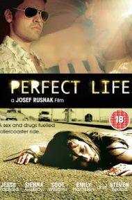 A Perfect Life (2010) พิศวาสสีเลือด ดูหนังออนไลน์ HD
