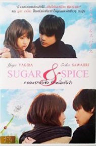 Sugar & Spice (2006) กอดแรกยังซึ้งรักหนึ่งยังจำ ดูหนังออนไลน์ HD