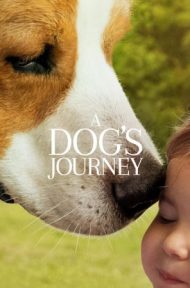 A Dog’s Journey หมา เป้าหมาย และเด็กชายของผม 2 ดูหนังออนไลน์ HD