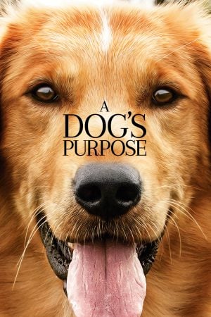 A Dog’s Purpose (2017) หมา เป้าหมาย และเด็กชายของผม ดูหนังออนไลน์ HD