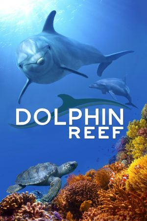 Dolphin Reef (2020) Disney+ อัศจรรย์ชีวิตของโลมา ดูหนังออนไลน์ HD