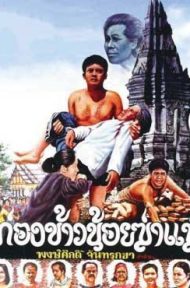 Kong Khao Noi Ka Mare (1980) ก่องข้าวน้อยฆ่าแม่ ดูหนังออนไลน์ HD