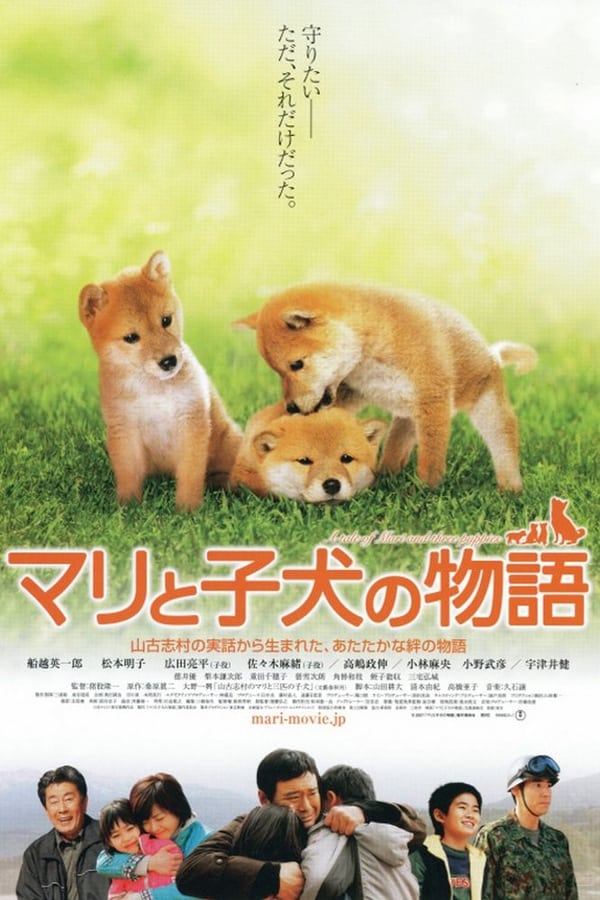 A Tale of Mari and Three Puppies (2007) เพื่อนซื่อ… ชื่อ มาริ ดูหนังออนไลน์ HD
