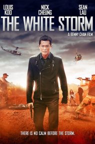 The White Storm (2013) โคตรคนโค่นคนอันตราย ดูหนังออนไลน์ HD