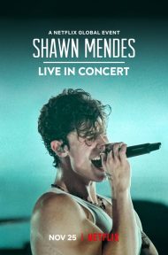 Shawn Mendes Live in Concert (2020) ดูหนังออนไลน์ HD