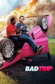 Bad Trip (2021) ทริปป่วนคู่อำ ดูหนังออนไลน์ HD
