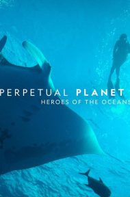 Perpetual Planet Heroes of the Oceans (2021) ดูหนังออนไลน์ HD