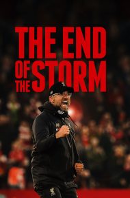 The End of the Storm (2020) ดูหนังออนไลน์ HD