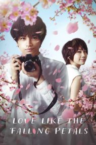 Love Like The Falling Petals (2022) ใบไม้ผลิที่ไม่มีเธอเป็นซากุระ ดูหนังออนไลน์ HD