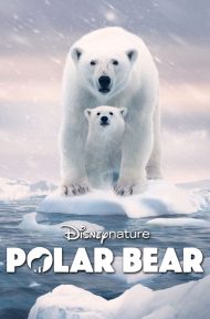 Polar Bear (2022) พากย์ไทย ดูหนังออนไลน์ HD