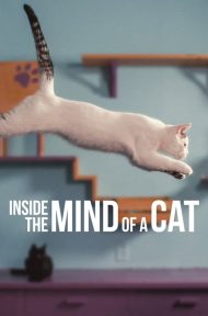 Inside the Mind of a Cat (2022) คิดแบบแมวๆ ดูหนังออนไลน์ HD