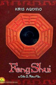 Feng Shui (2004) ดูหนังออนไลน์ HD