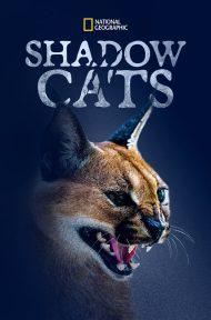 Shadow Cats (2022) ดูหนังออนไลน์ HD