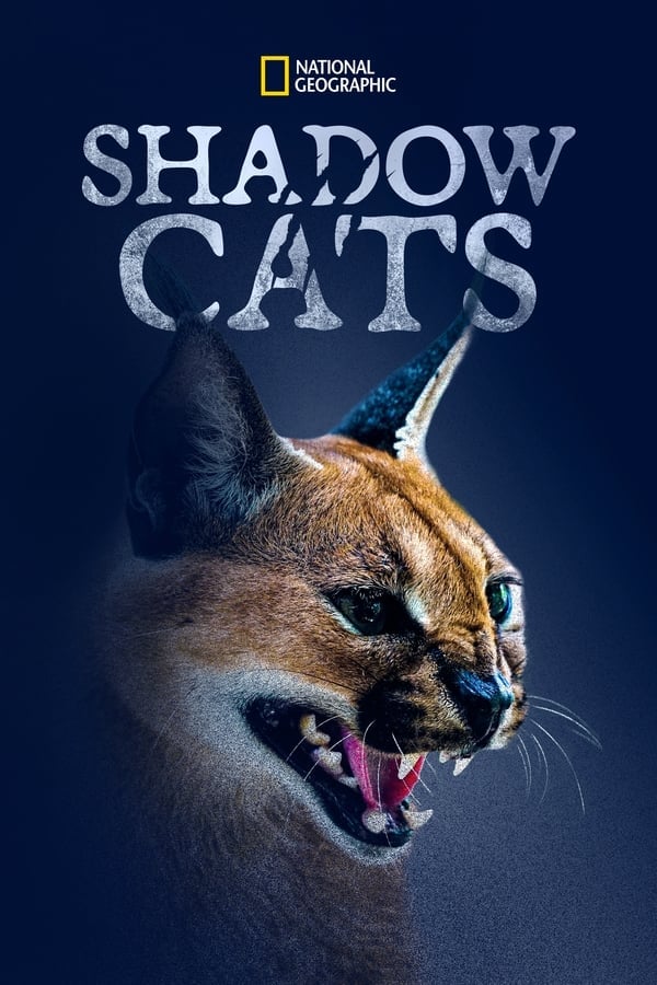 Shadow Cats (2022) ดูหนังออนไลน์ HD